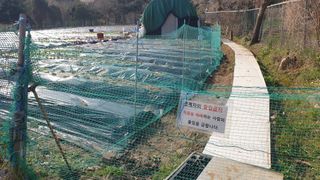 이경옥님의 기타작물 · 영농일지 작성글 사진