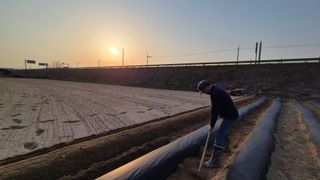 장기수님의 감자 · 영농일지 작성글 사진