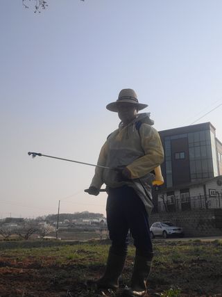 로만아빠님의 감자 · 영농일지 작성글 사진