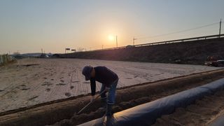 장기수님의 감자 · 영농일지 작성글 사진