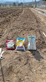 팜모닝 기타작물·영농일지 게시글 이미지