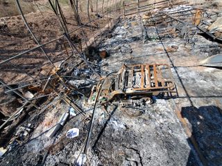 정연섭님의 기타작물 · 영농일지 작성글 사진