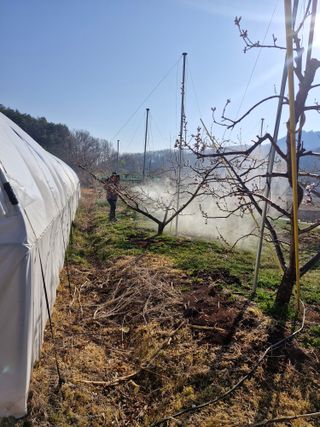 백운농원 님의 기타작물 · 영농일지 작성글 사진