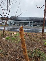 팜모닝 기타작물·영농일지 게시글 이미지