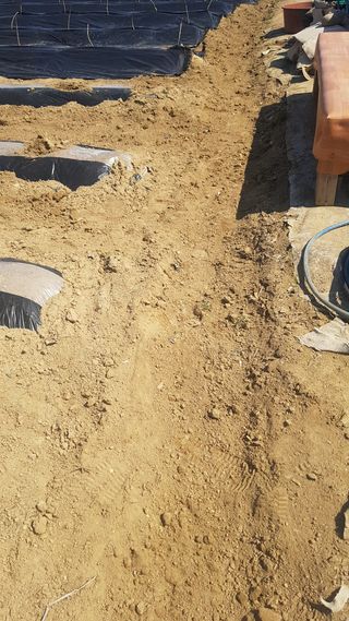 최춘득 청대산 님의 기타작물 · 영농일지 작성글 사진