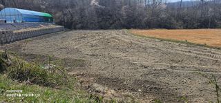 초보농부님의 벼 · 영농일지 작성글 사진