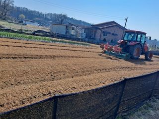 박순덕님의 기타작물 · 영농일지 작성글 사진