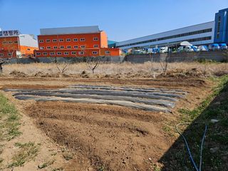 김영규님의 기타작물 · 영농일지 작성글 사진