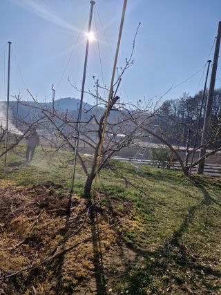 백운농원 님의 기타작물 · 영농일지 작성글 사진