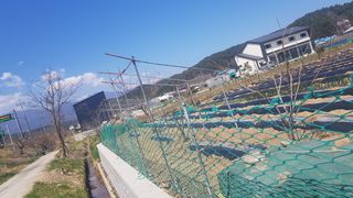 최춘득 청대산 님의 기타작물 · 영농일지 작성글 사진