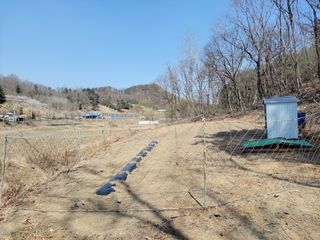 김홍중님의 두릅 · 영농일지 작성글 사진