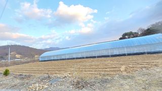 전영순님의 기타작물 · 영농일지 작성글 사진