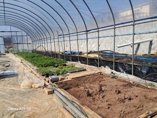 귤21628님의 기타작물 · 영농일지 작성글 사진