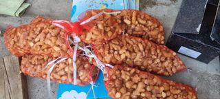 박사원농장님의 기타작물 · 영농일지 작성글 사진