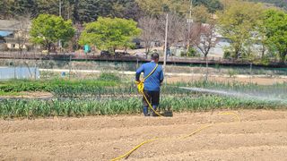 백창석님의 기타작물 · 영농일지 작성글 사진