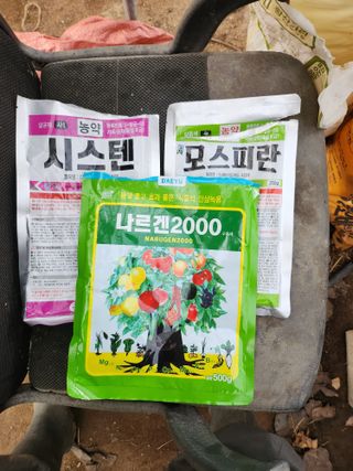 조재홍님의 기타작물 · 영농일지 작성글 사진