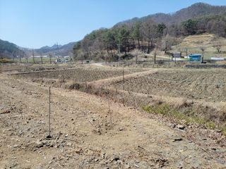 김홍중님의 두릅 · 영농일지 작성글 사진