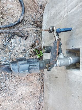 정연섭님의 기타작물 · 영농일지 작성글 사진