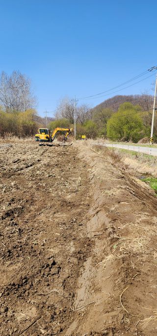 초보농부님의 기타작물 · 영농일지 작성글 사진