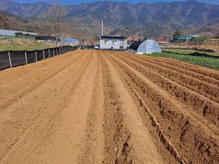 박순덕님의 기타작물 · 영농일지 작성글 사진