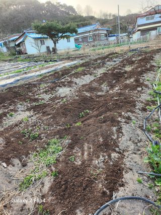 송명석님의 기타작물 · 영농일지 작성글 사진