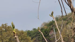 백창석님의 기타작물 · 영농일지 작성글 사진