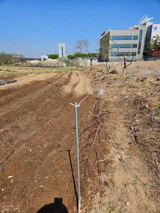 김영규님의 기타작물 · 영농일지 작성글 사진