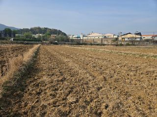 우경원님의 벼 · 영농일지 작성글 사진