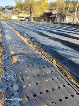 팜모닝 기타작물·영농일지 게시글 이미지