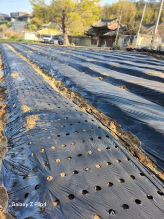 송명석님의 기타작물 · 영농일지 작성글 사진