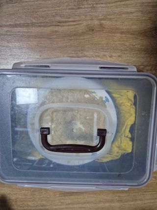 김옥조님의 복숭아 · 영농일지 작성글 사진