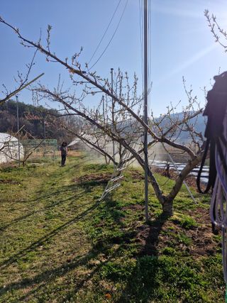 백운농원 님의 기타작물 · 영농일지 작성글 사진