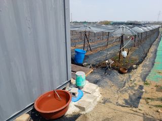 상훈경영체등록5년차님의 기타작물 · 영농일지 작성글 사진