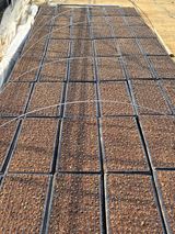 팜모닝 기타작물·영농일지 게시글 이미지