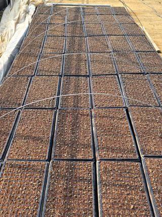 팜모닝회원 바이크농원님의 기타작물 · 영농일지 작성글 사진