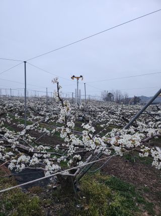 김용찬님의 기타작물 · 영농일지 작성글 사진