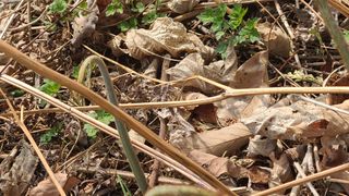 백창석님의 기타작물 · 영농일지 작성글 사진