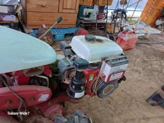 바위돌 심재성님의 마늘 · 영농일지 작성글 사진