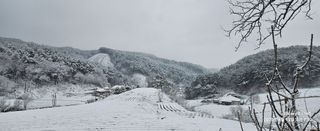 장두원님의 기타작물 · 영농일지 작성글 사진