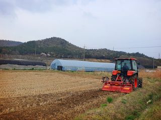 오이8898황산면님의 벼 · 영농일지 작성글 사진