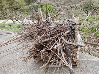 단감당감님의 감 · 영농일지 작성글 사진