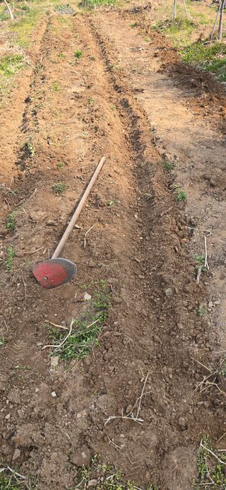 돌복숭아님의 기타작물 · 영농일지 작성글 사진