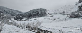 장두원님의 기타작물 · 영농일지 작성글 사진