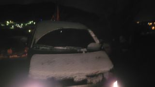 여우내 이순홍님의 파 · 영농일지 작성글 사진