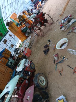 바위돌 심재성님의 마늘 · 영농일지 작성글 사진