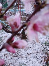 팜모닝 기타작물·영농일지 게시글 이미지