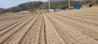 박사원농장님의 기타작물 · 영농일지 작성글 사진