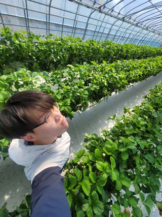 장인호님의 딸기 · 영농일지 작성글 사진