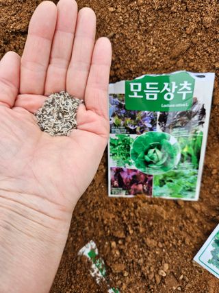 이주연님의 기타작물 · 영농일지 작성글 사진