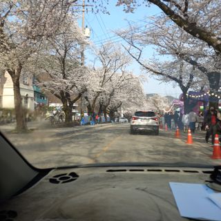 두릅나무13435님의 기타작물 · 영농일지 작성글 사진